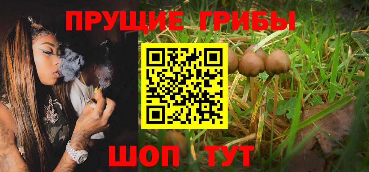 Галлюциногенные грибы мухоморы Малгобек
