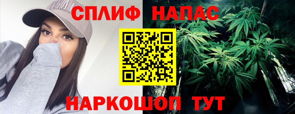 Шишки марихуана семена Малгобек
